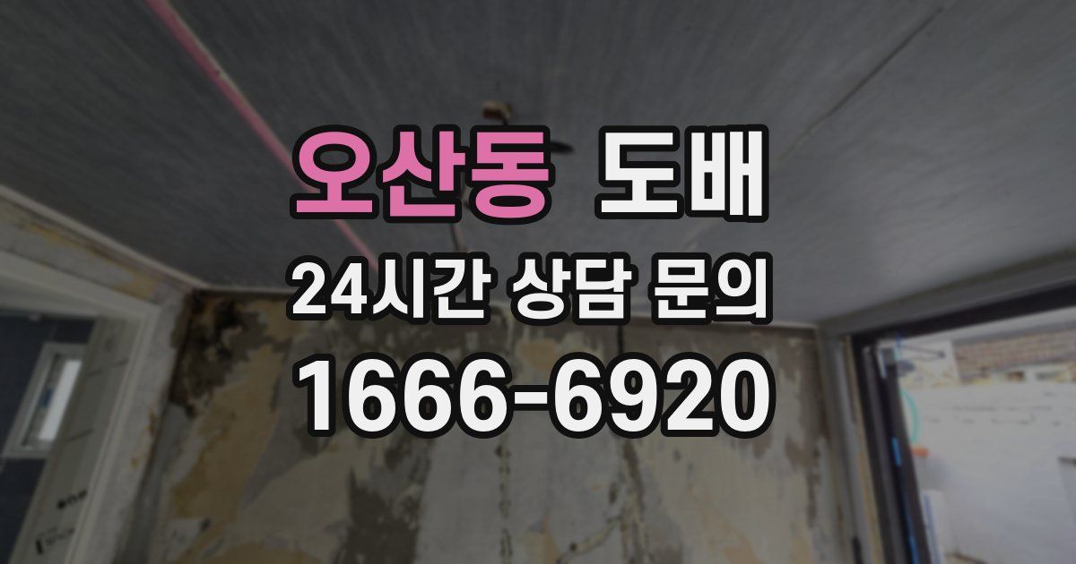 오산동 도배