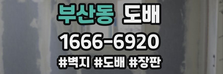 부산동 도배