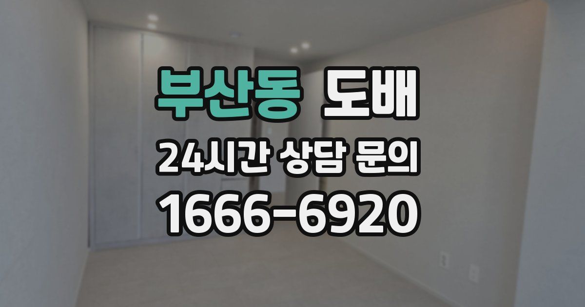 부산동 도배