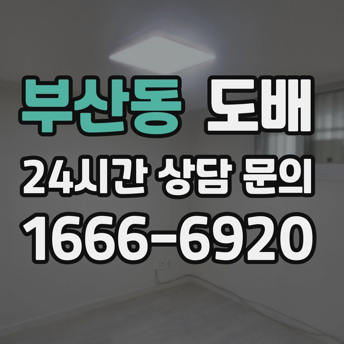 부산동 도배