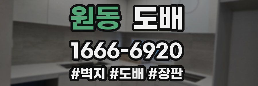 원동 도배