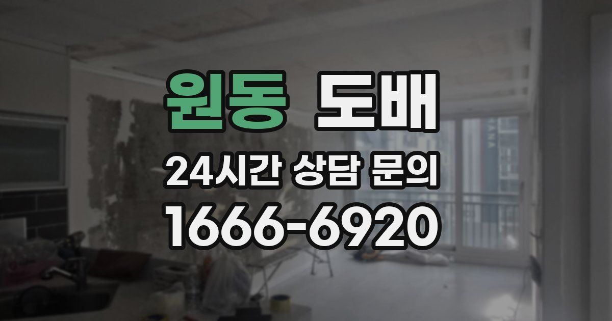 원동 도배