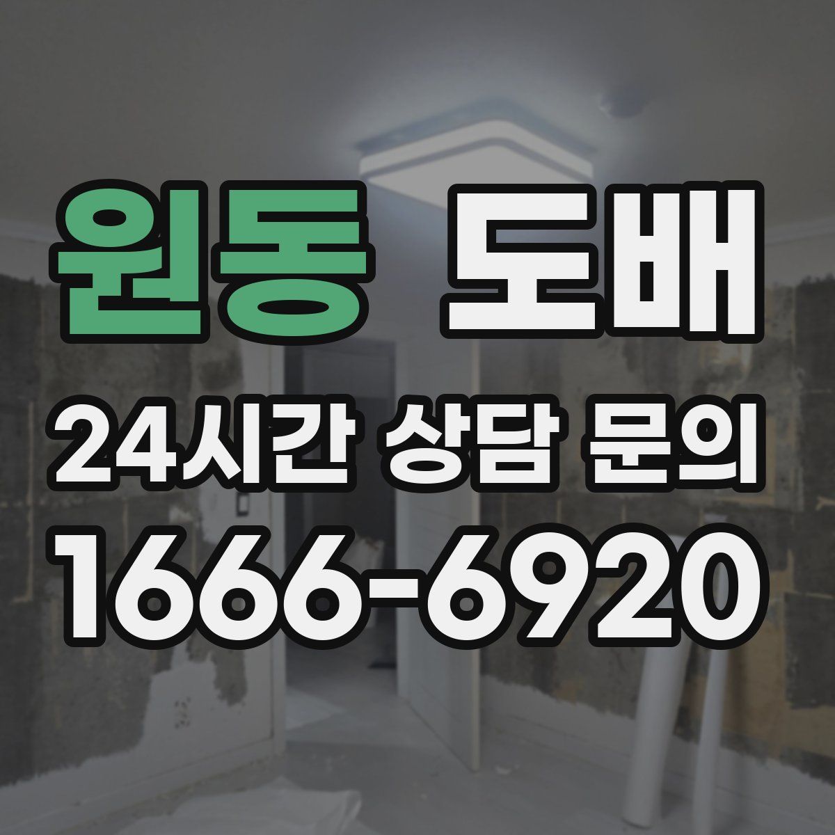 원동 도배