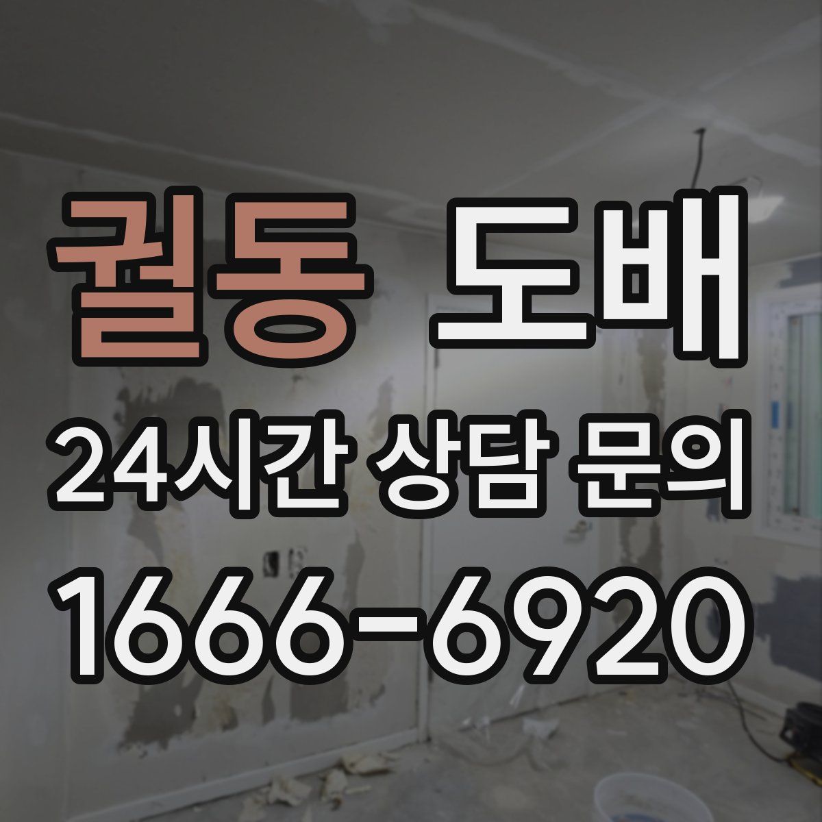 궐동 도배