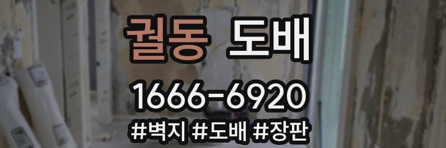 궐동 도배