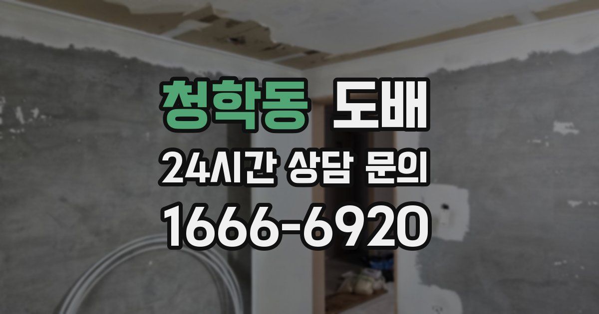 청학동 도배