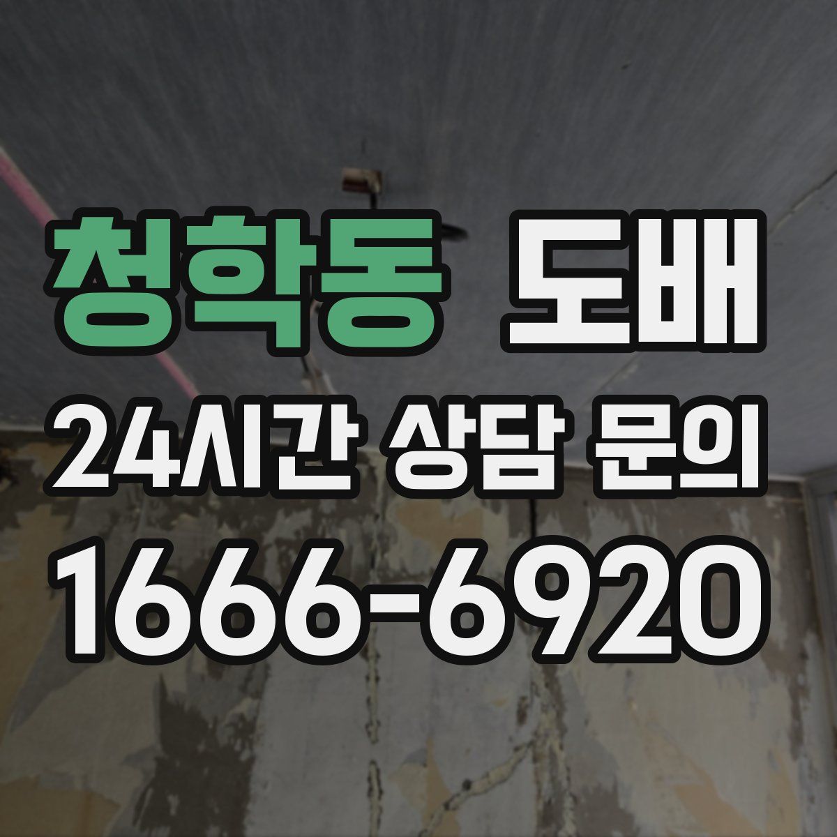 청학동 도배