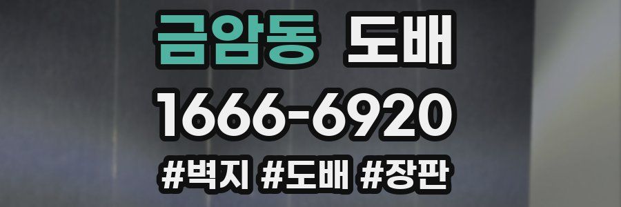 금암동 도배