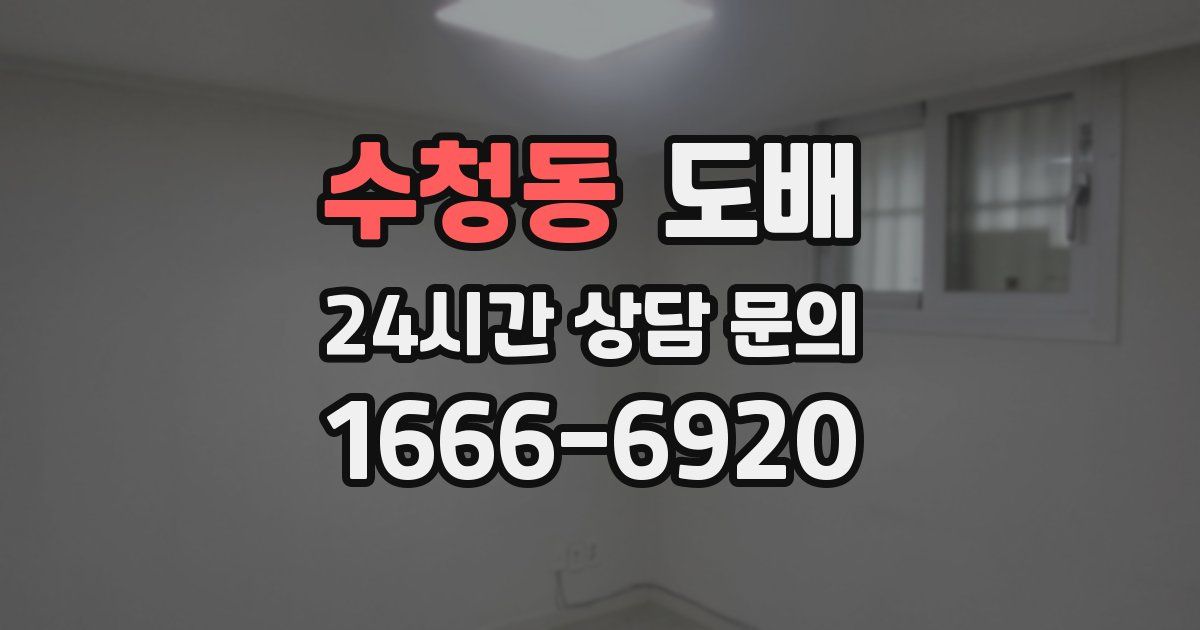 수청동 도배
