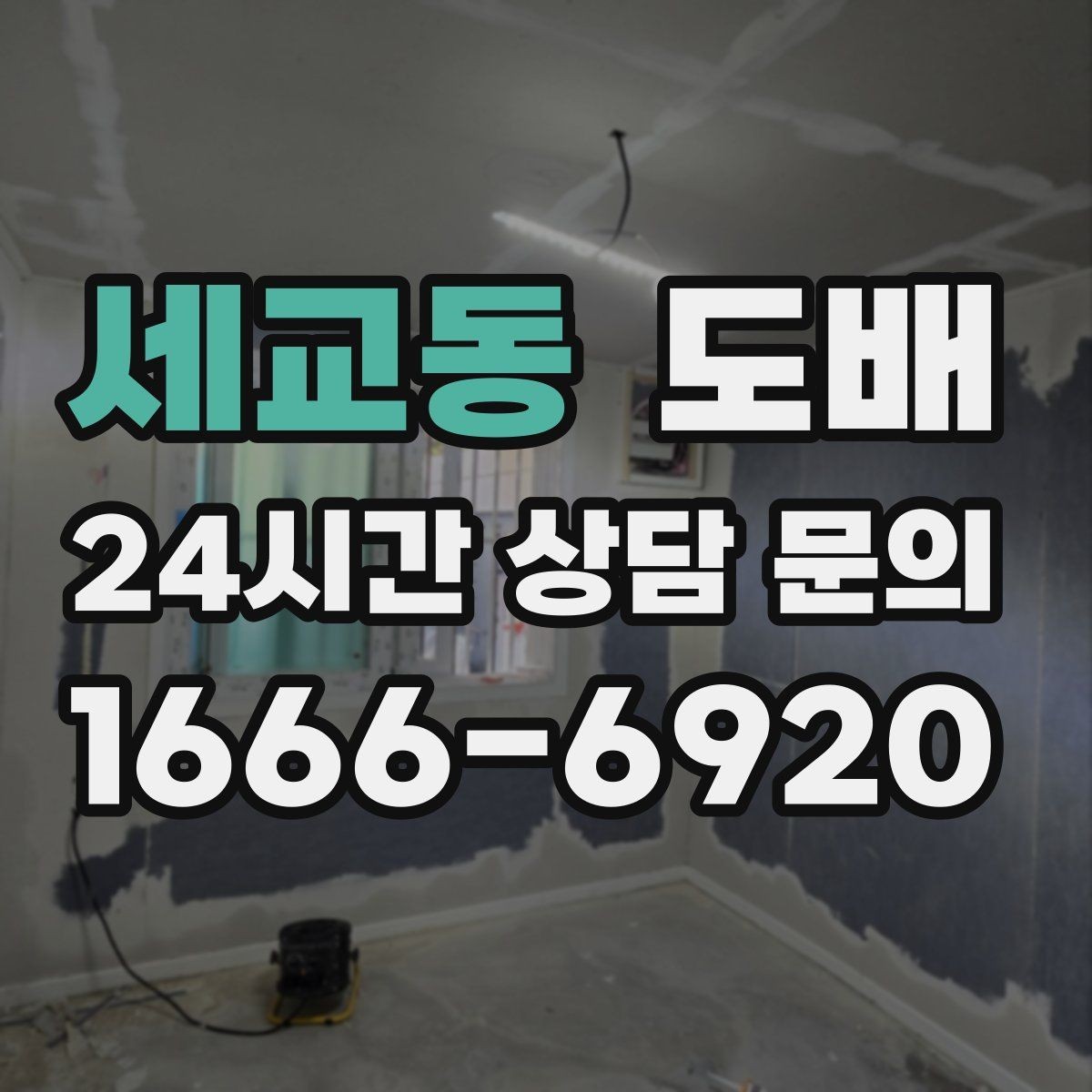 세교동 도배 작업 시 소음과 냄새는 어느 정도일까
