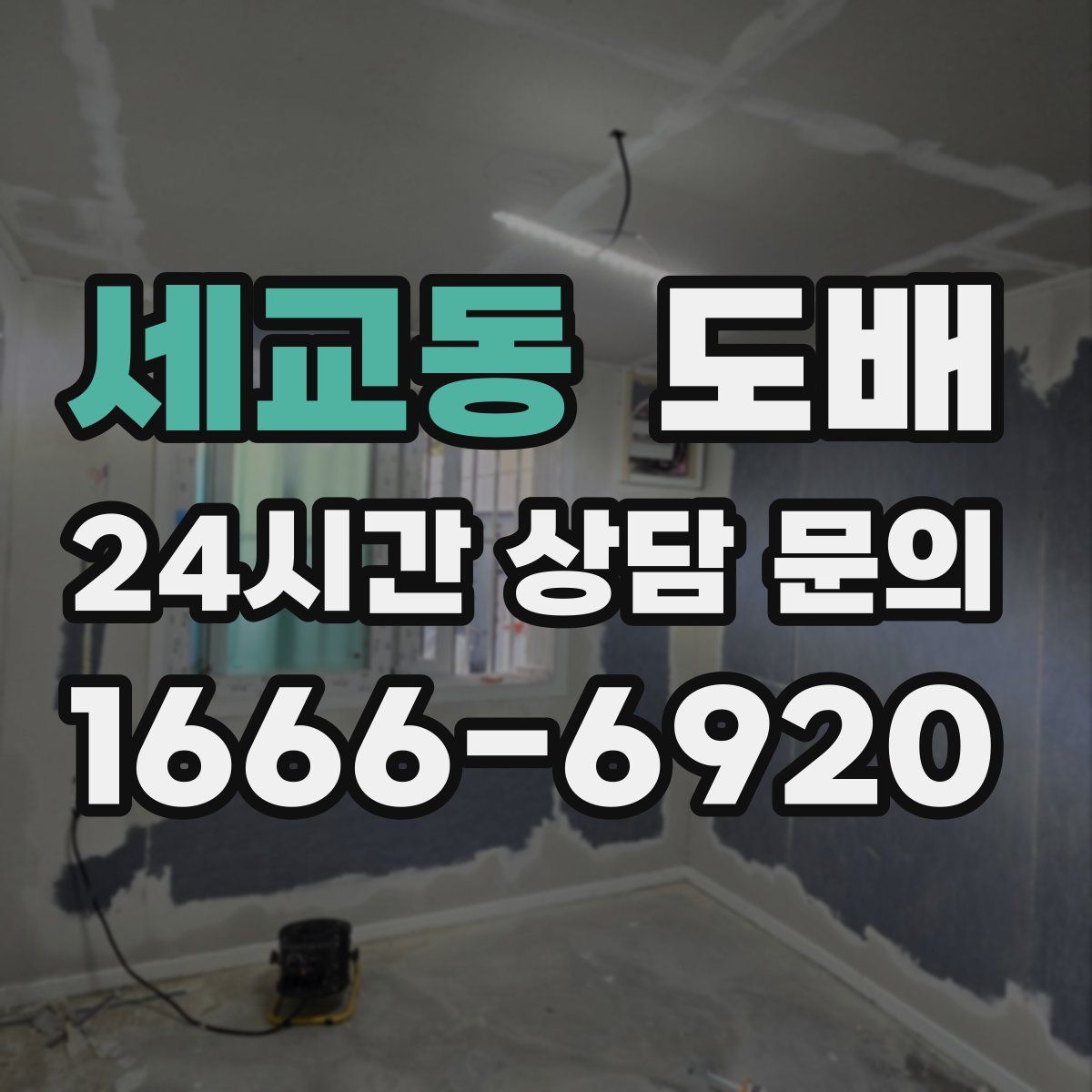 세교동 도배