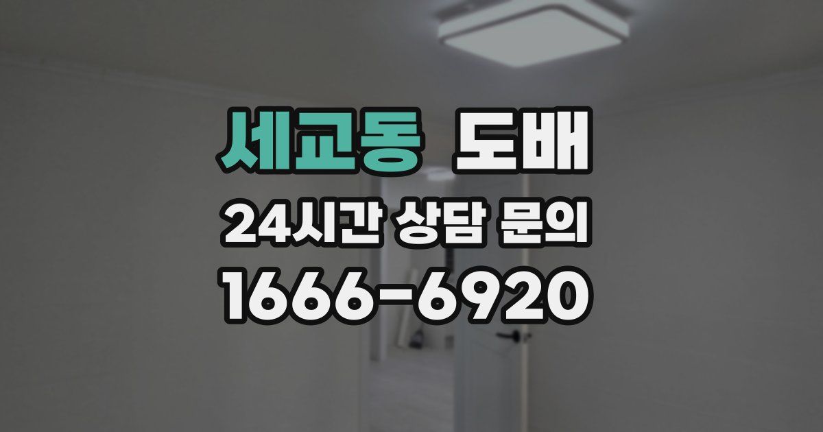 세교동 도배