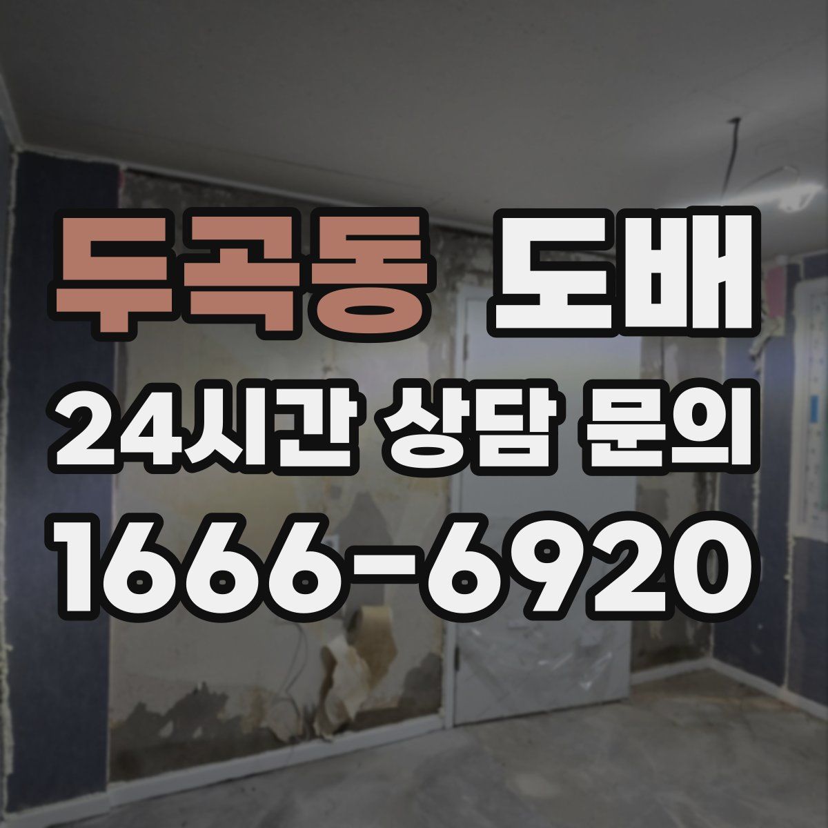 두곡동 도배
