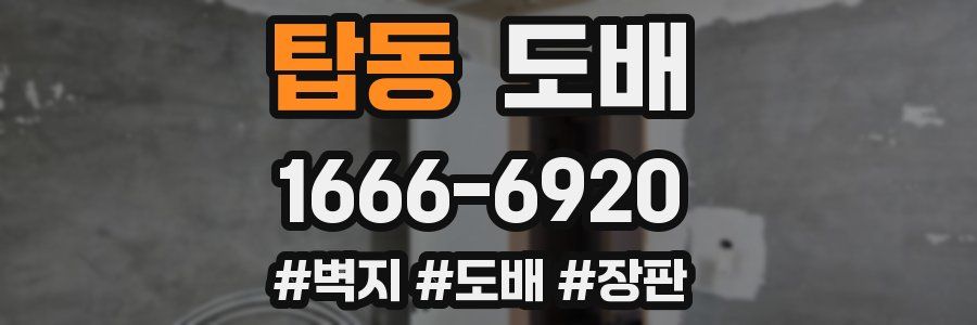 탑동 도배