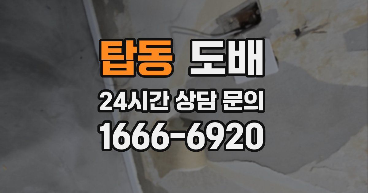 탑동 도배
