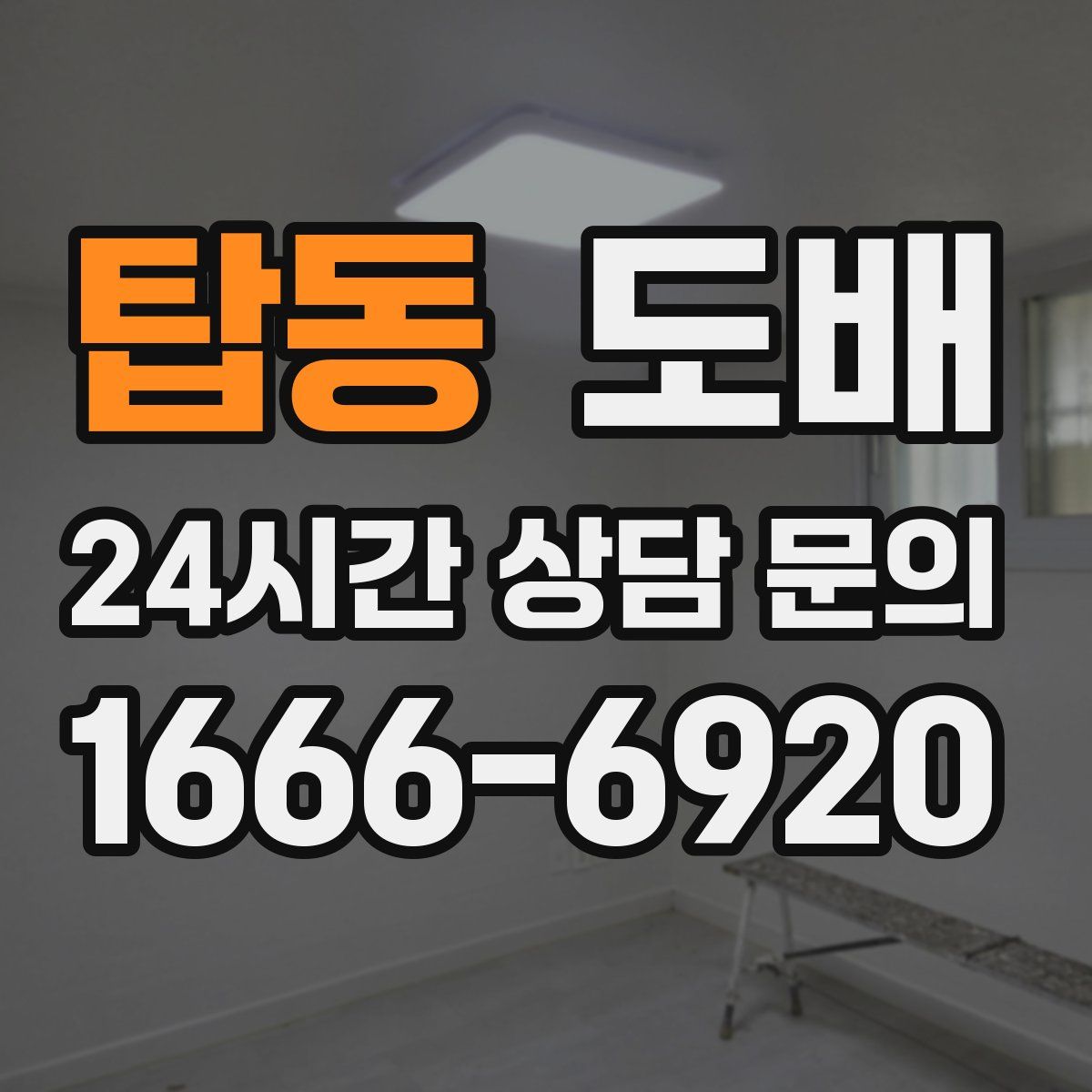 탑동 도배