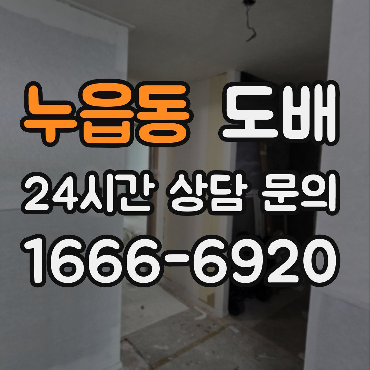 누읍동 도배