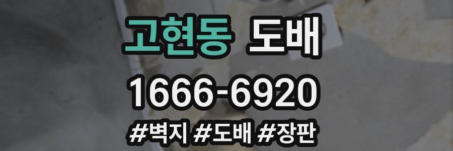 고현동 도배
