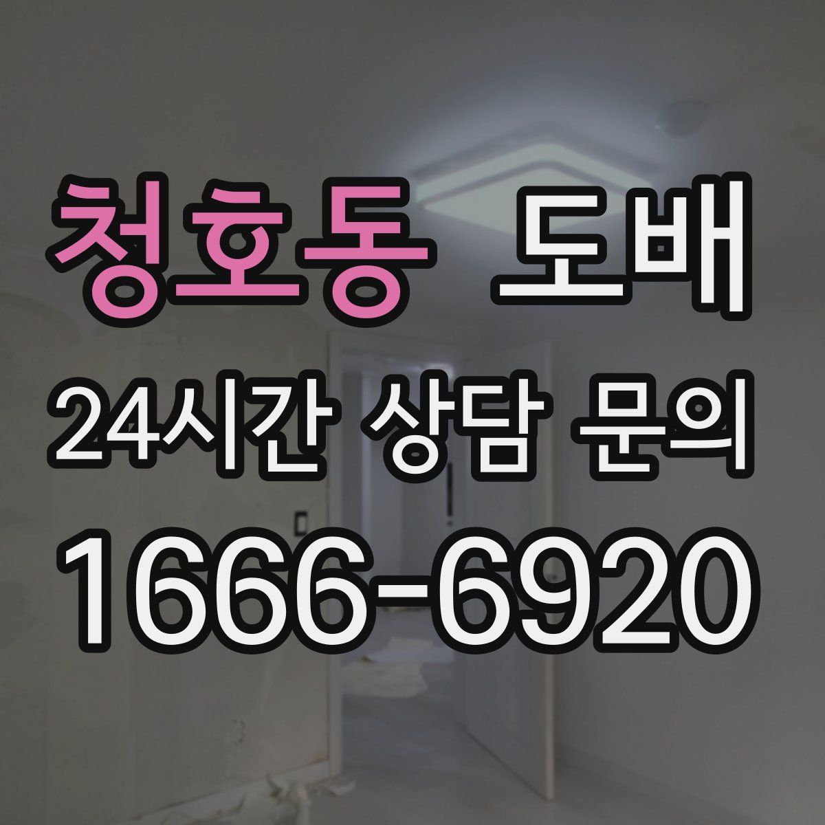 청호동 도배