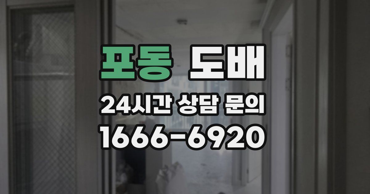포동 도배
