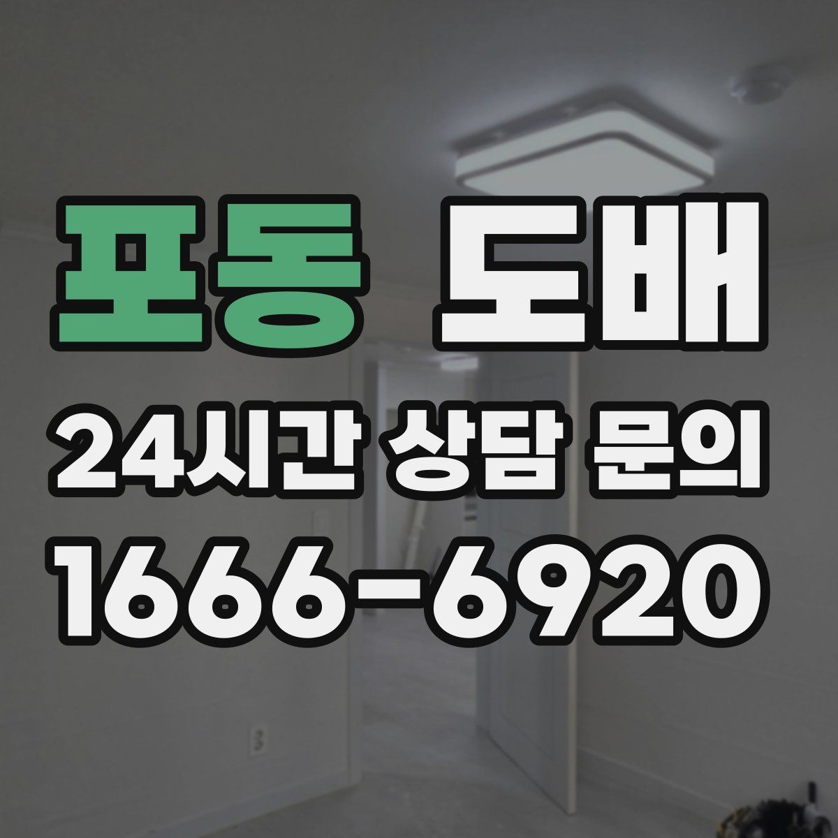 포동 도배