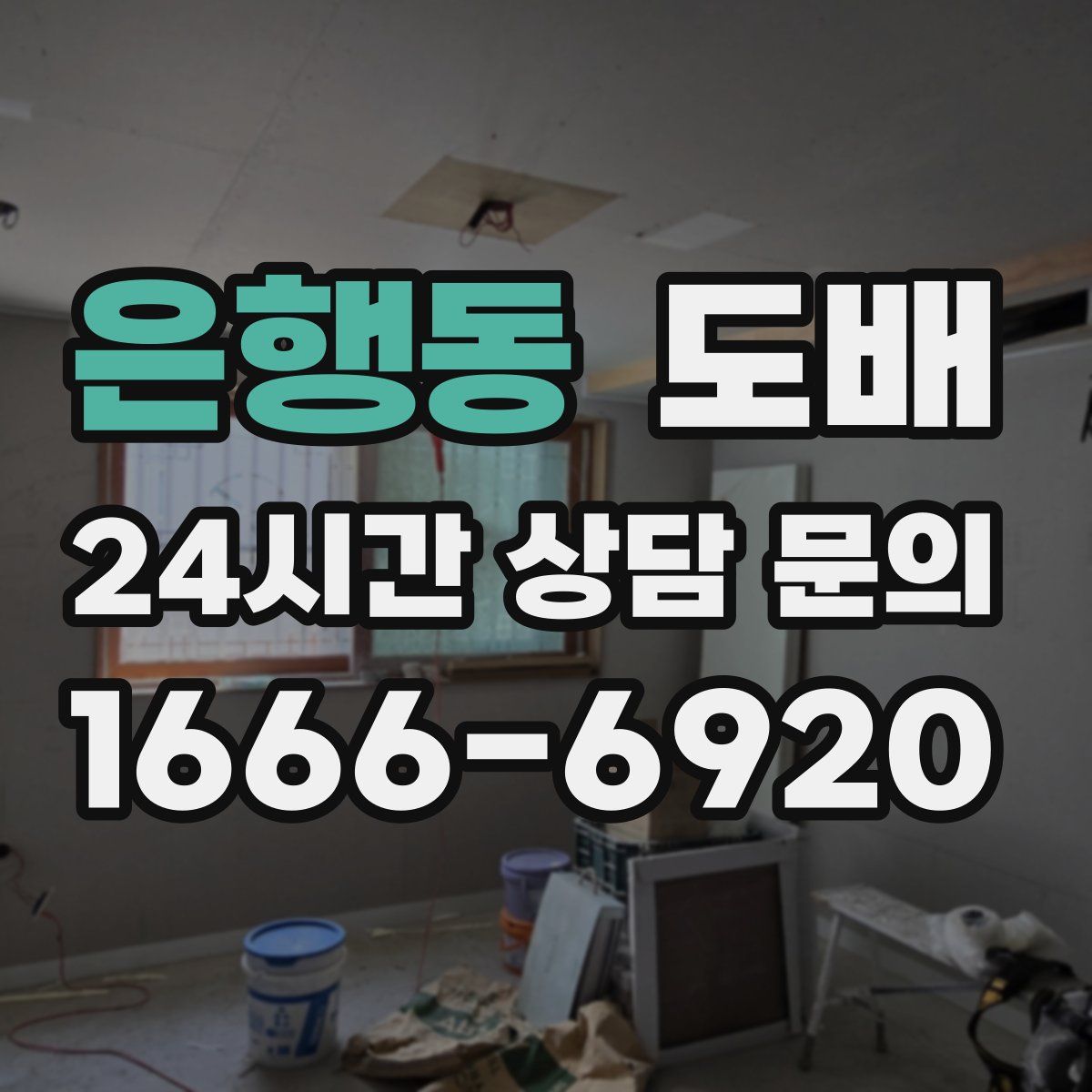 은행동 도배
