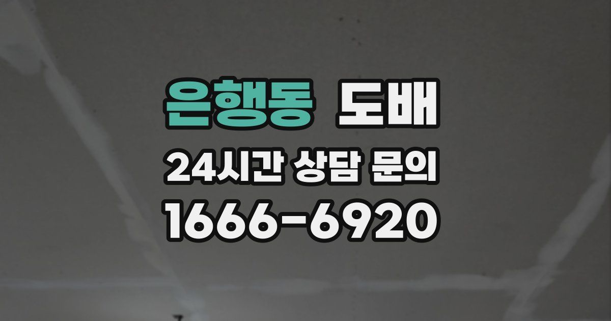 은행동 도배