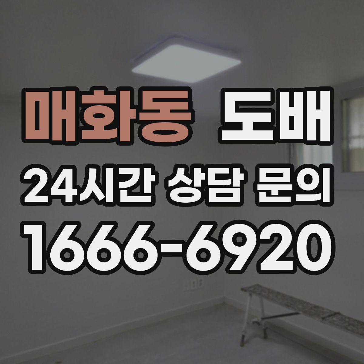 매화동 도배