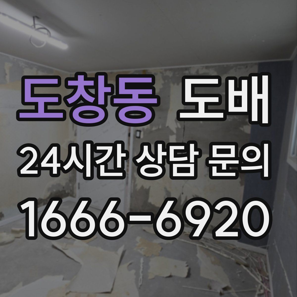 도창동 도배 비용 차이를 만드는 자재 등급