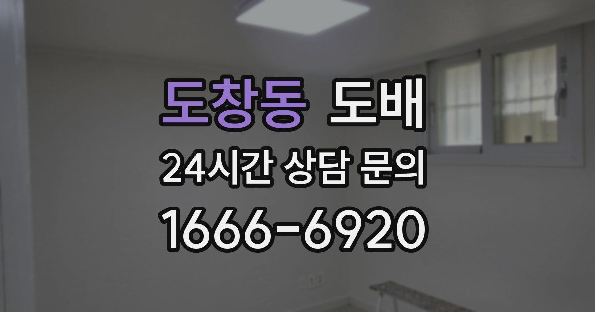 도창동 도배