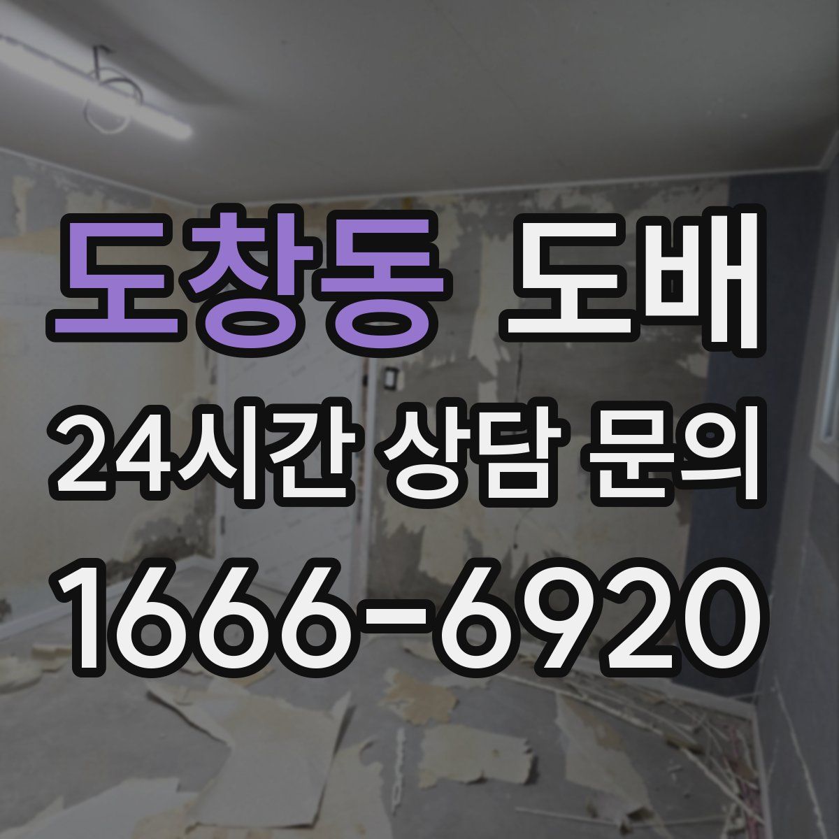 도창동 도배
