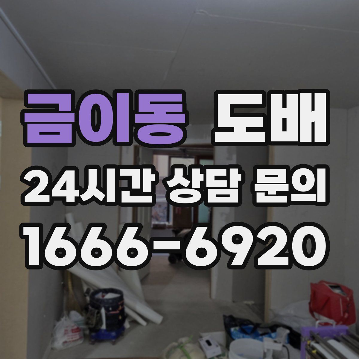 금이동 도배