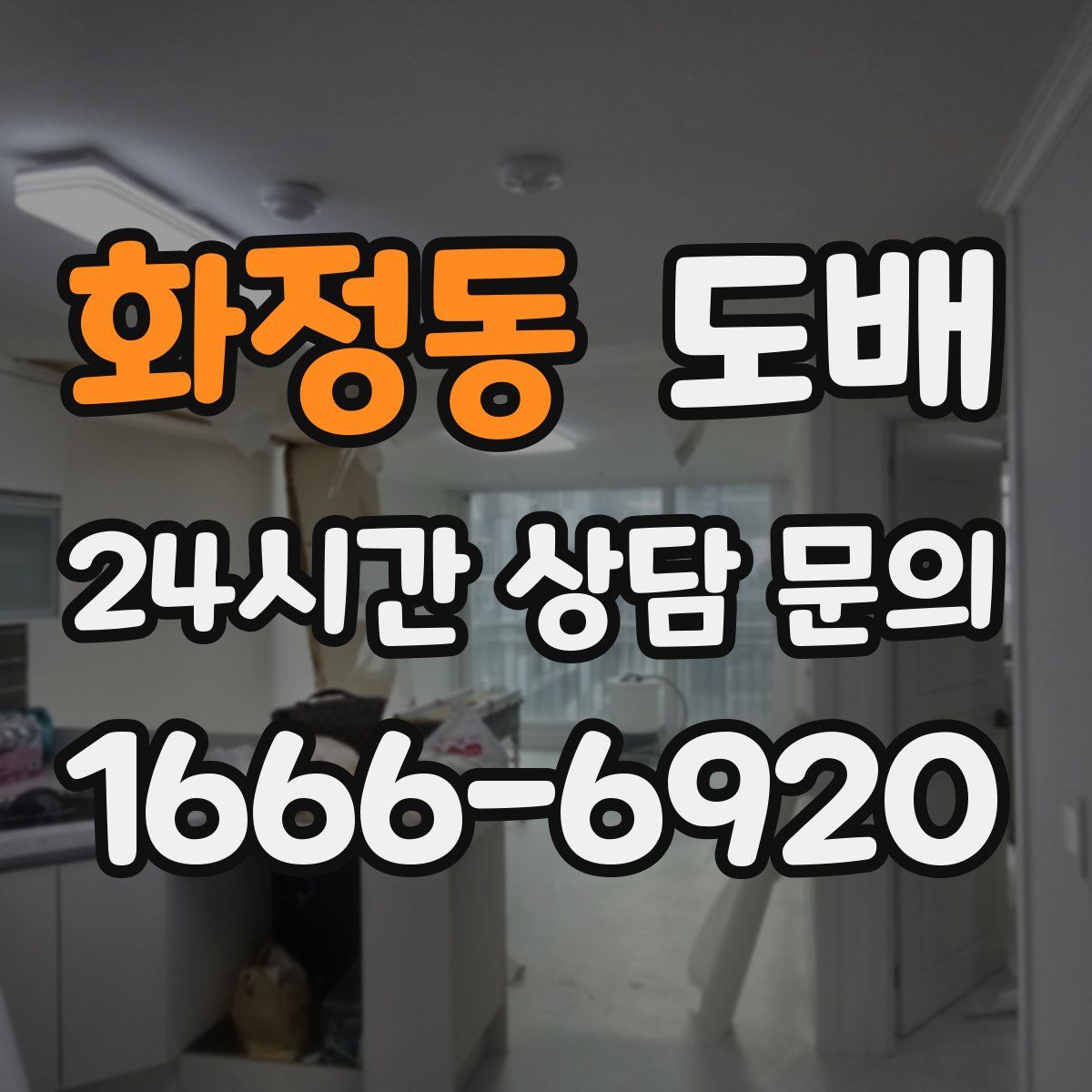화정동 도배