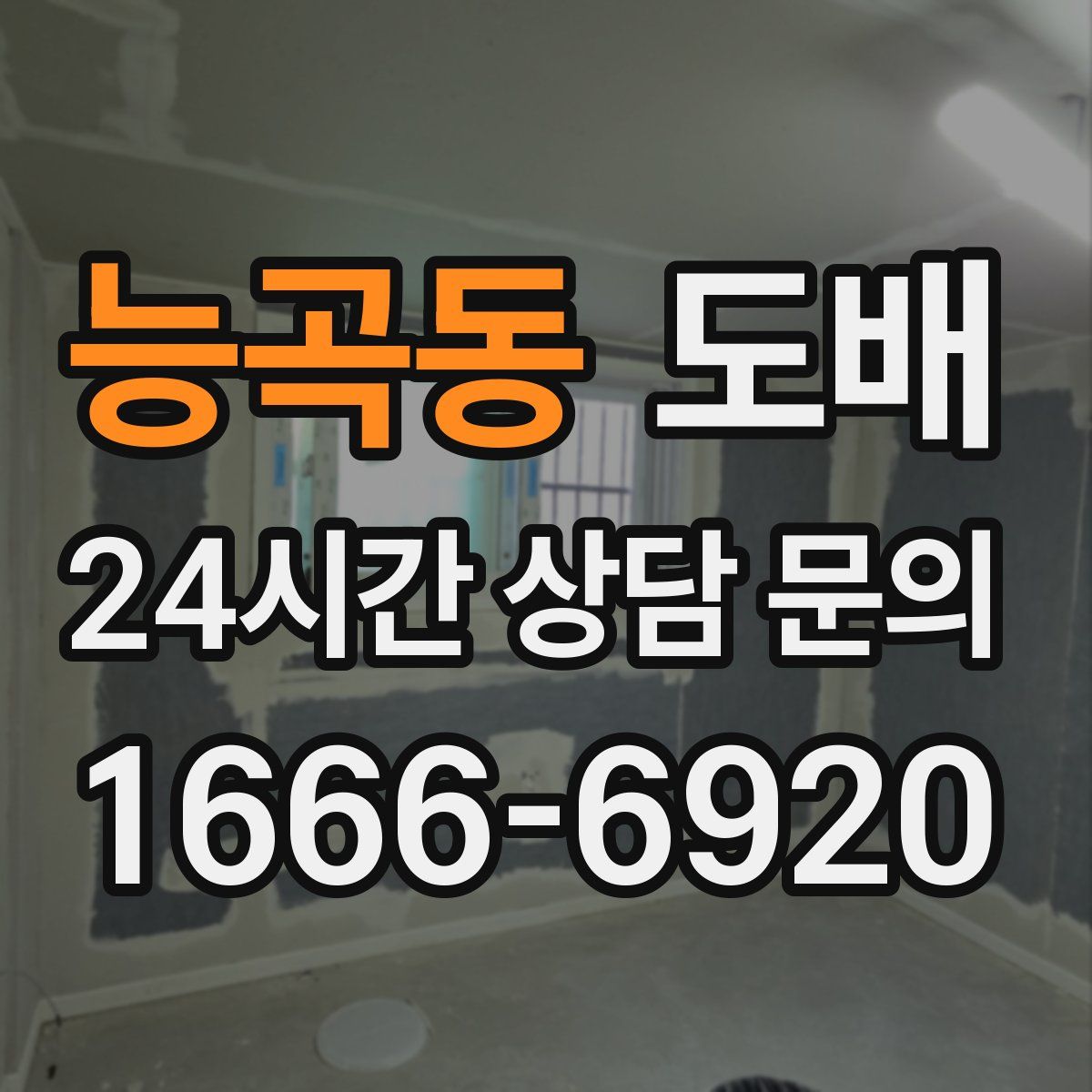 능곡동 도배
