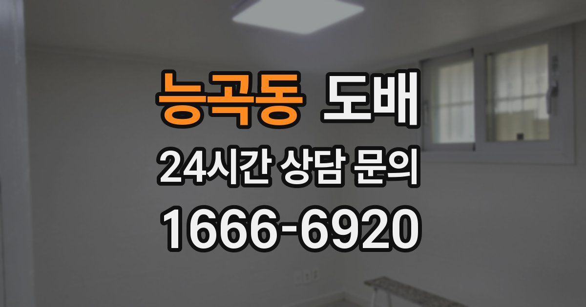 능곡동 도배