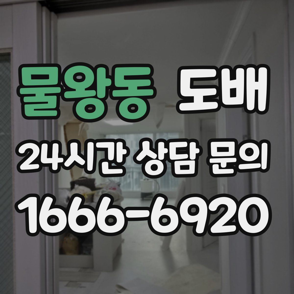 물왕동 도배