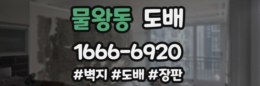 물왕동 도배