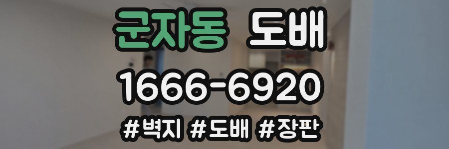 군자동 도배