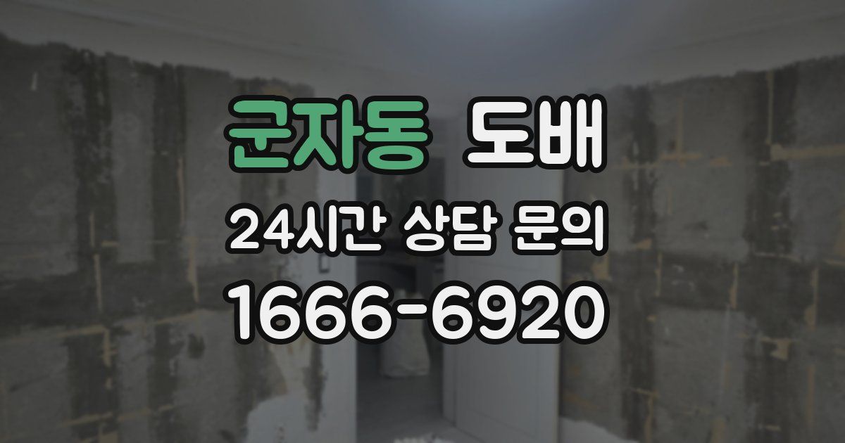 군자동 도배