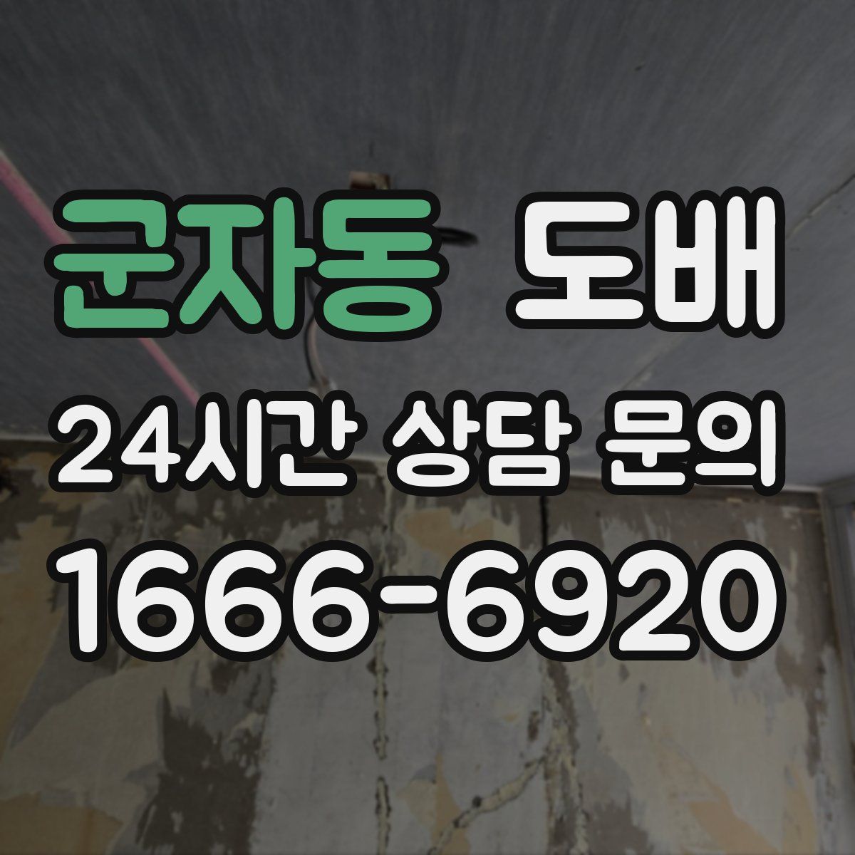군자동 도배