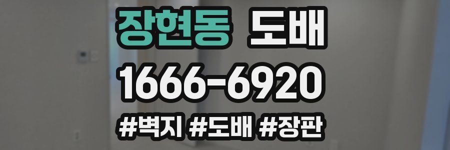 장현동 도배