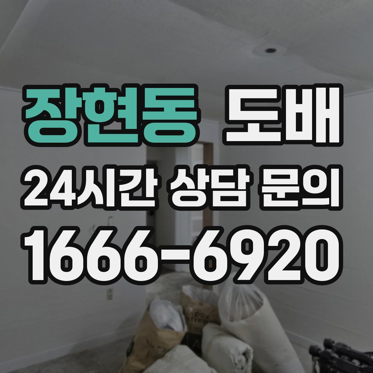 장현동 도배