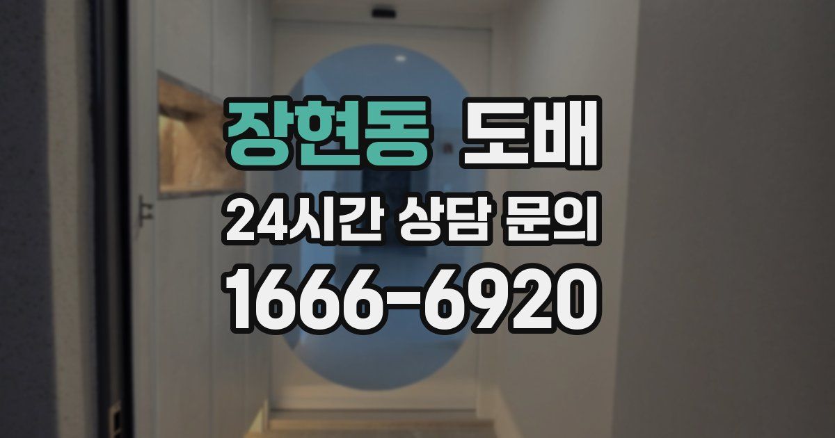 장현동 도배