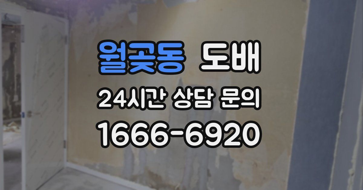 월곶동 도배
