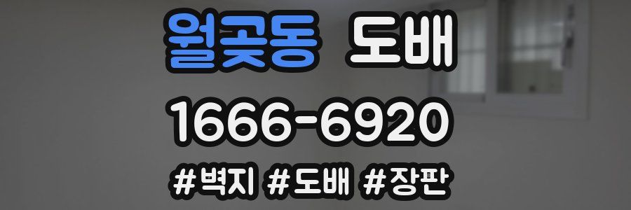 월곶동 도배