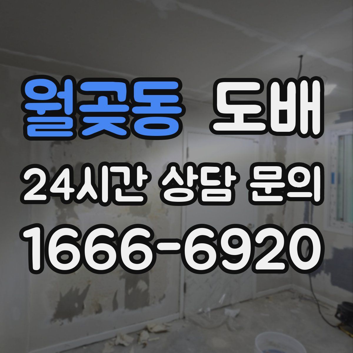 월곶동 도배