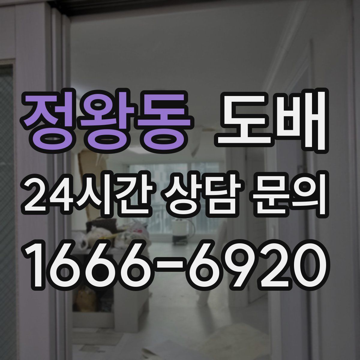 정왕동 도배