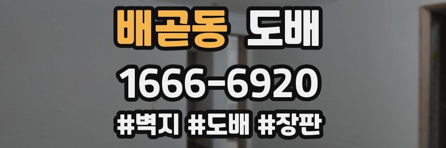 배곧동 도배