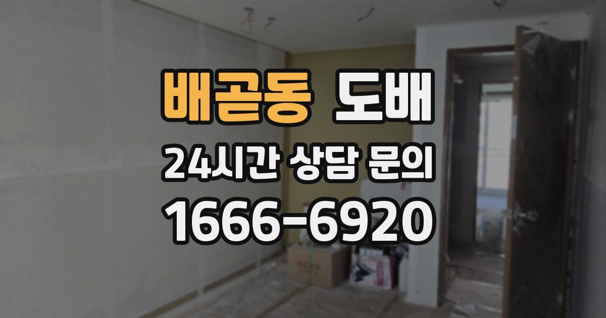 배곧동 도배