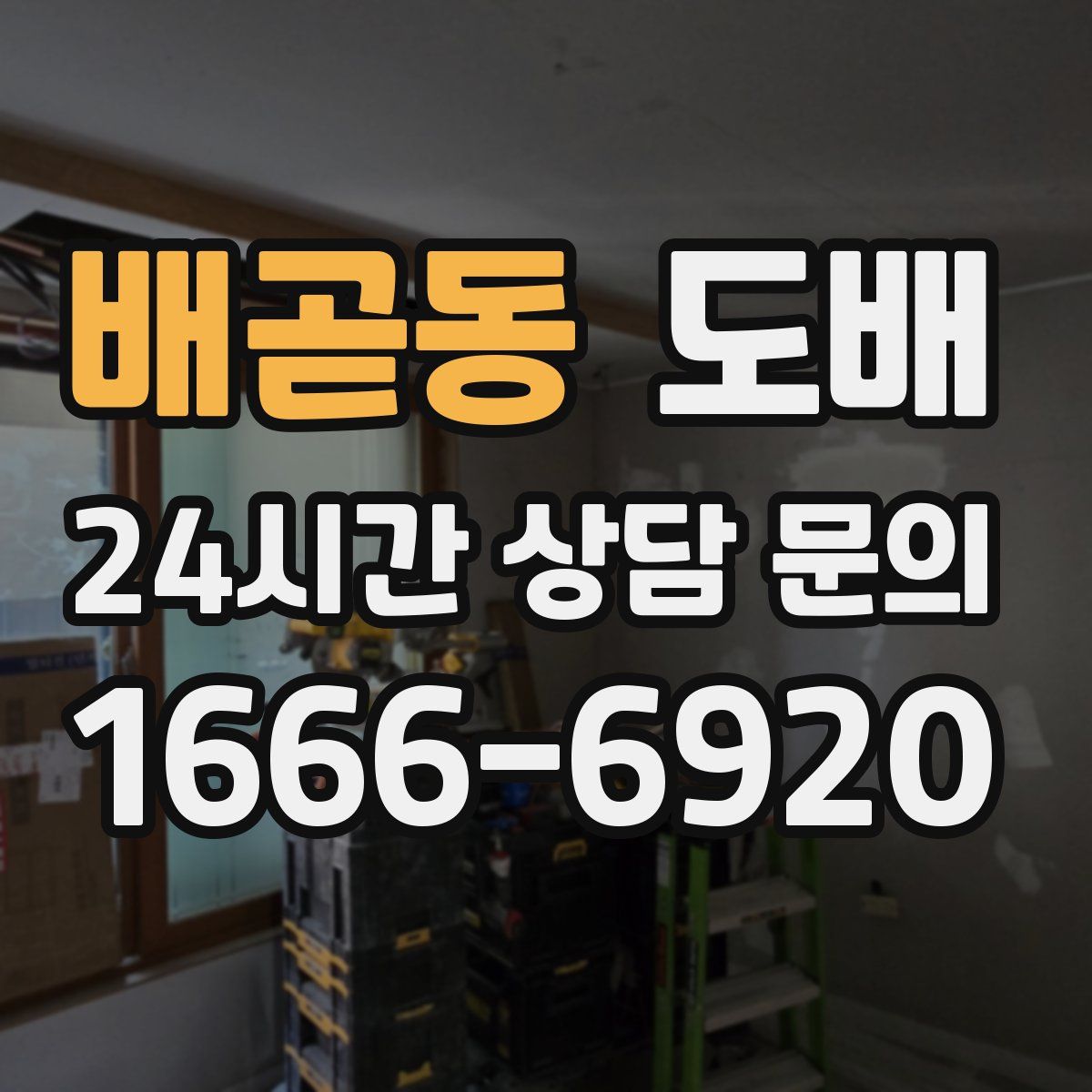 배곧동 도배